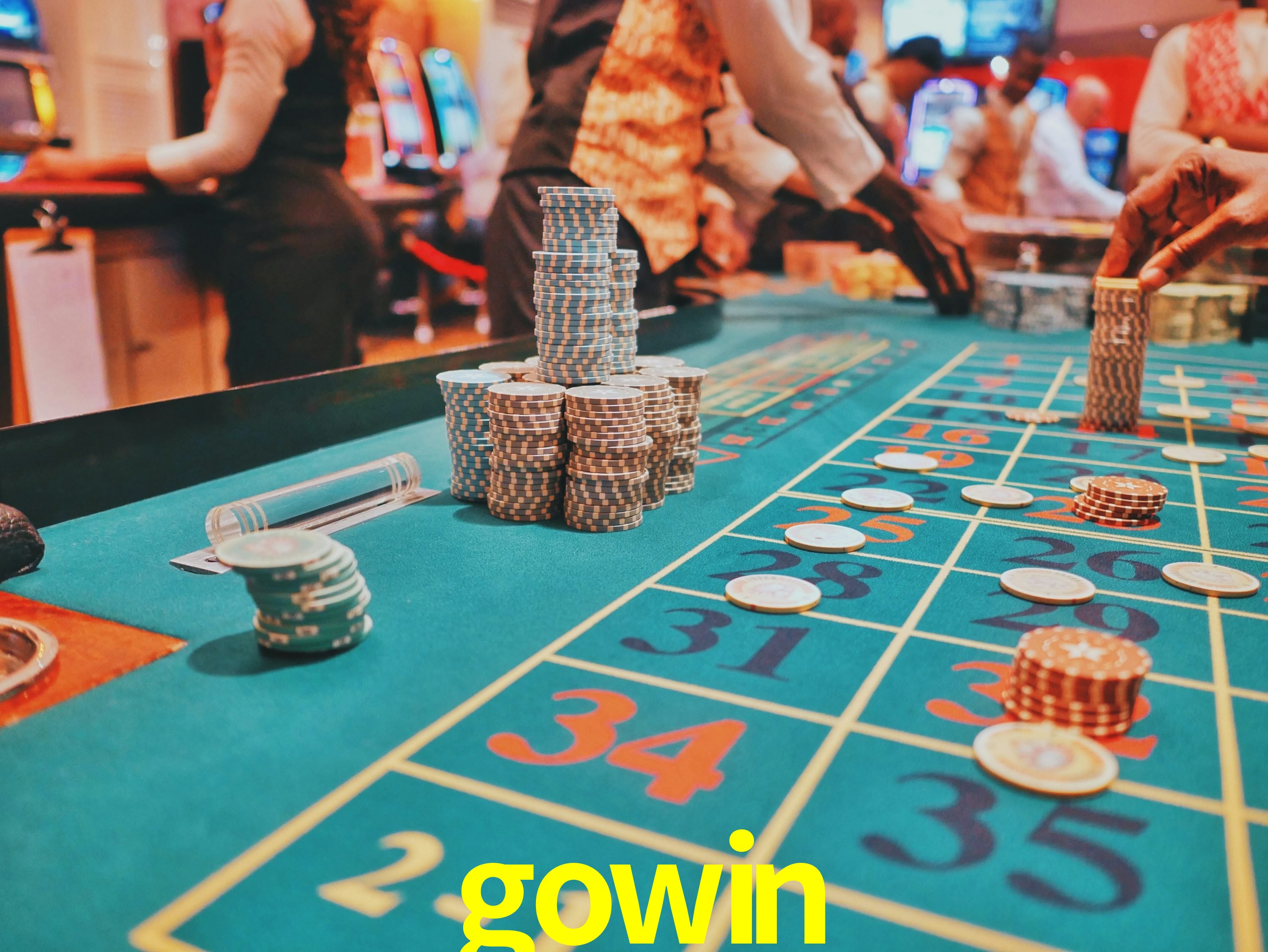 Sports Statistics gowin